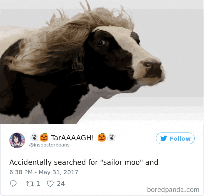 120 Times People Accidentally Googled The Wrong Thing, And The Results Were Hilarious 120 Times People Accidentally Googled The Wrong Thing, And The Results Were Hilarious