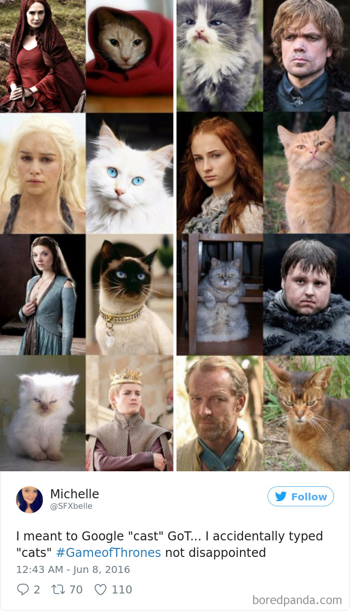 120 Times People Accidentally Googled The Wrong Thing, And The Results Were Hilarious 120 Times People Accidentally Googled The Wrong Thing, And The Results Were Hilarious