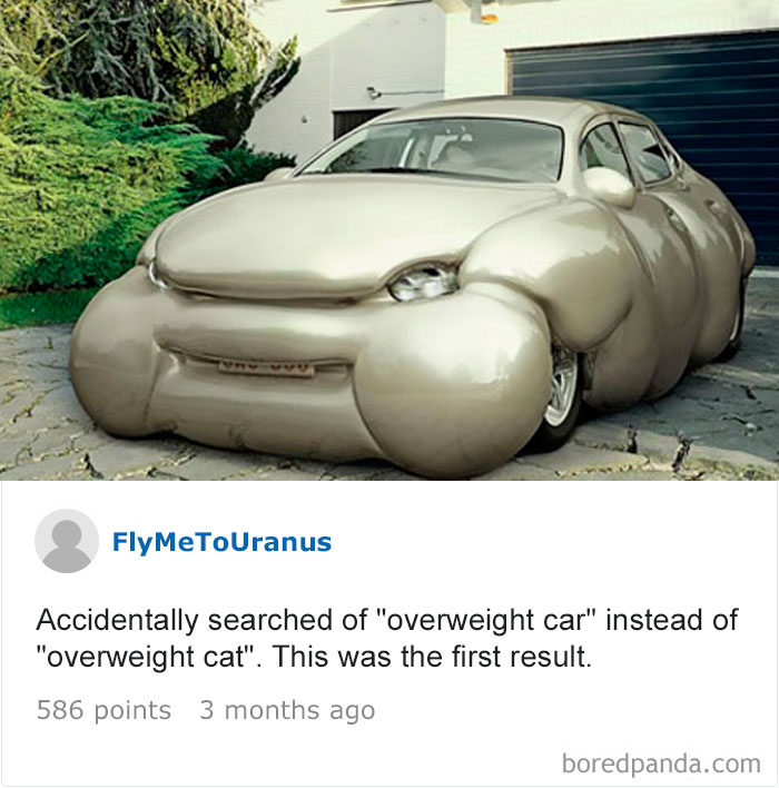120 Times People Accidentally Googled The Wrong Thing, And The Results Were Hilarious 120 Times People Accidentally Googled The Wrong Thing, And The Results Were Hilarious