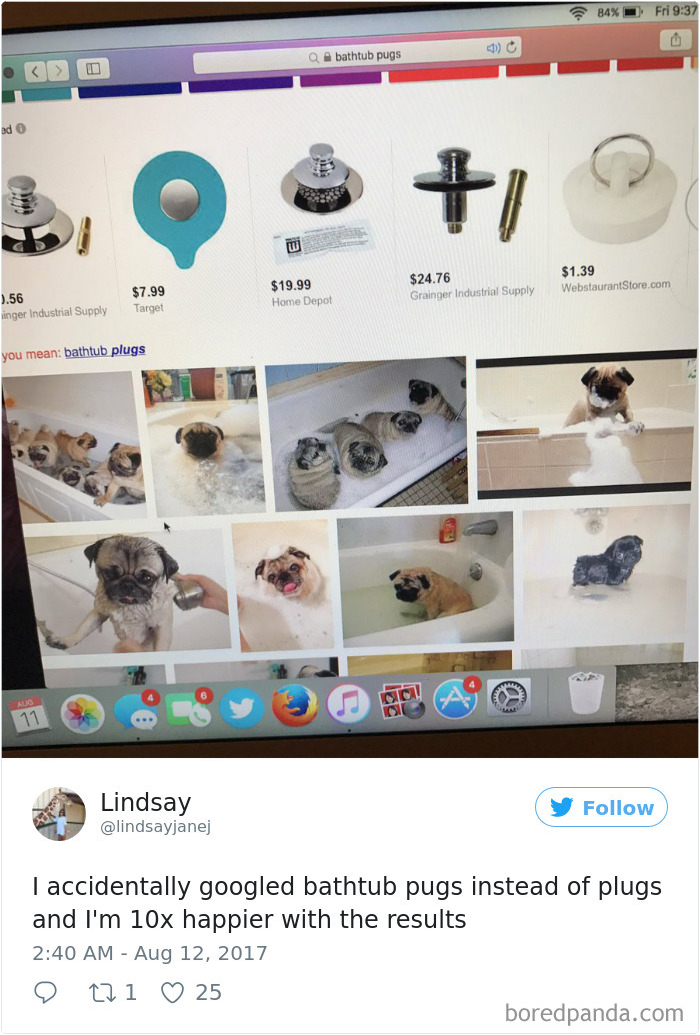 120 Times People Accidentally Googled The Wrong Thing, And The Results Were Hilarious 120 Times People Accidentally Googled The Wrong Thing, And The Results Were Hilarious