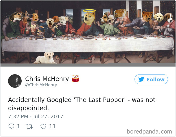 120 Times People Accidentally Googled The Wrong Thing, And The Results Were Hilarious 120 Times People Accidentally Googled The Wrong Thing, And The Results Were Hilarious