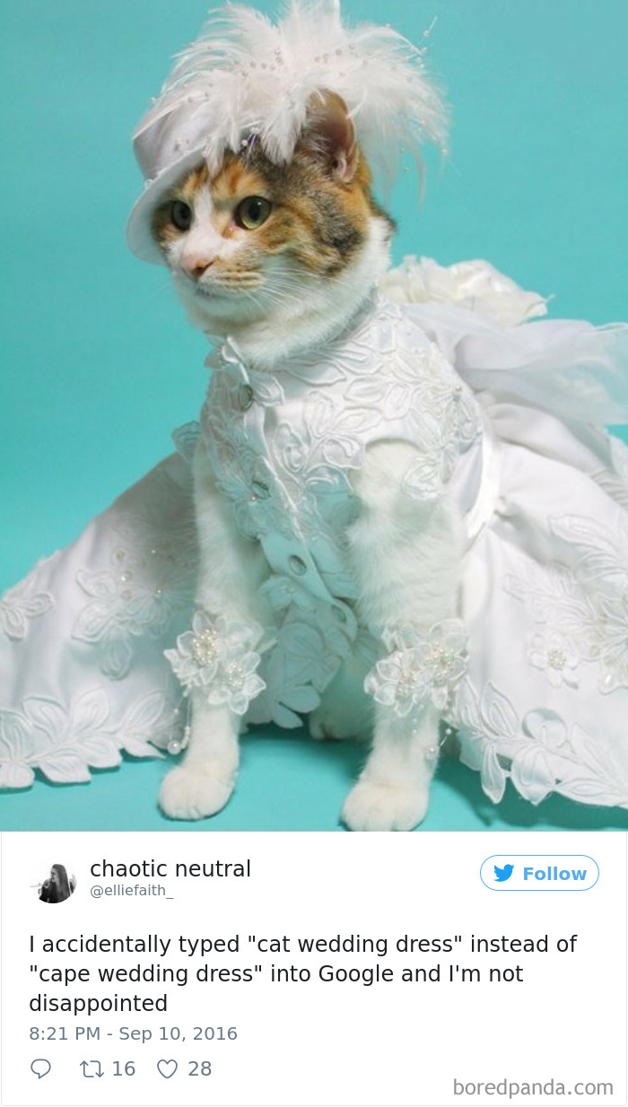 120 Times People Accidentally Googled The Wrong Thing, And The Results Were Hilarious 120 Times People Accidentally Googled The Wrong Thing, And The Results Were Hilarious