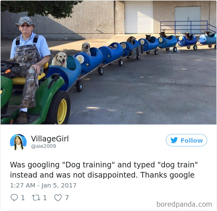 120 Times People Accidentally Googled The Wrong Thing, And The Results Were Hilarious 120 Times People Accidentally Googled The Wrong Thing, And The Results Were Hilarious