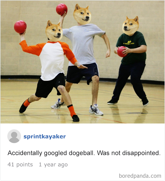 120 Times People Accidentally Googled The Wrong Thing, And The Results Were Hilarious 120 Times People Accidentally Googled The Wrong Thing, And The Results Were Hilarious