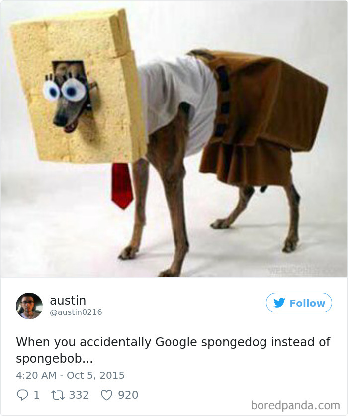 120 Times People Accidentally Googled The Wrong Thing, And The Results Were Hilarious 120 Times People Accidentally Googled The Wrong Thing, And The Results Were Hilarious