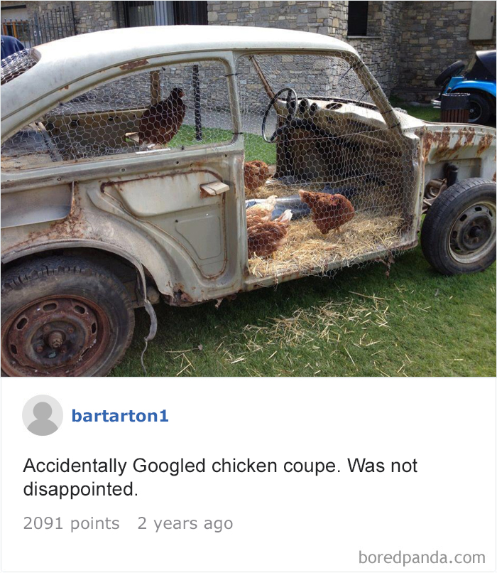 120 Times People Accidentally Googled The Wrong Thing, And The Results Were Hilarious 120 Times People Accidentally Googled The Wrong Thing, And The Results Were Hilarious