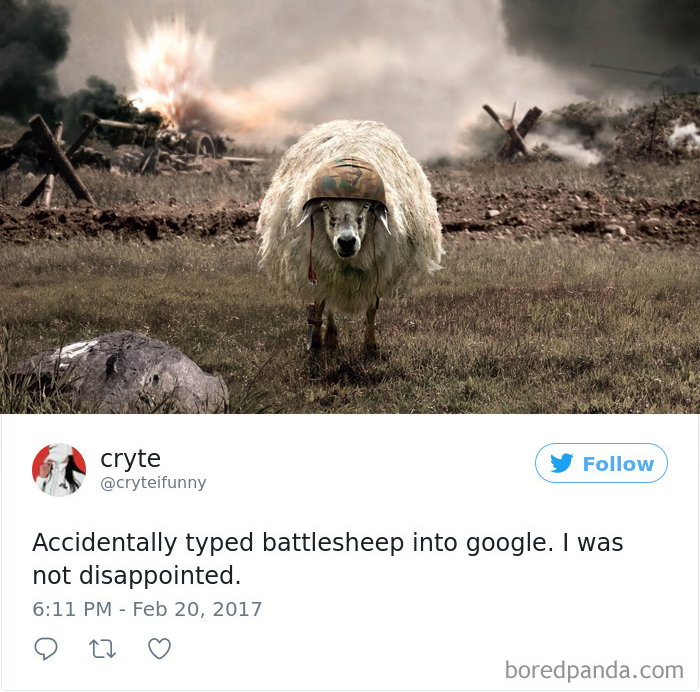 120 Times People Accidentally Googled The Wrong Thing, And The Results Were Hilarious 120 Times People Accidentally Googled The Wrong Thing, And The Results Were Hilarious