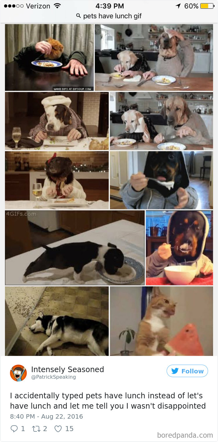 120 Times People Accidentally Googled The Wrong Thing, And The Results Were Hilarious 120 Times People Accidentally Googled The Wrong Thing, And The Results Were Hilarious