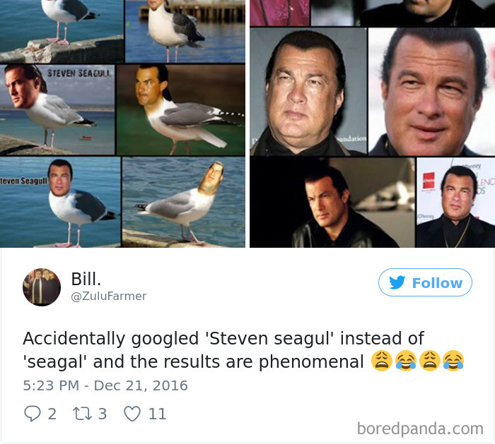 120 Times People Accidentally Googled The Wrong Thing, And The Results Were Hilarious 120 Times People Accidentally Googled The Wrong Thing, And The Results Were Hilarious