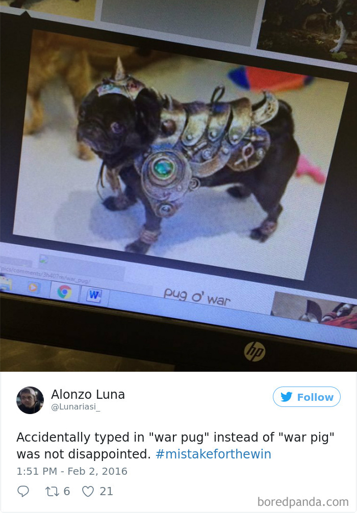 120 Times People Accidentally Googled The Wrong Thing, And The Results Were Hilarious 120 Times People Accidentally Googled The Wrong Thing, And The Results Were Hilarious