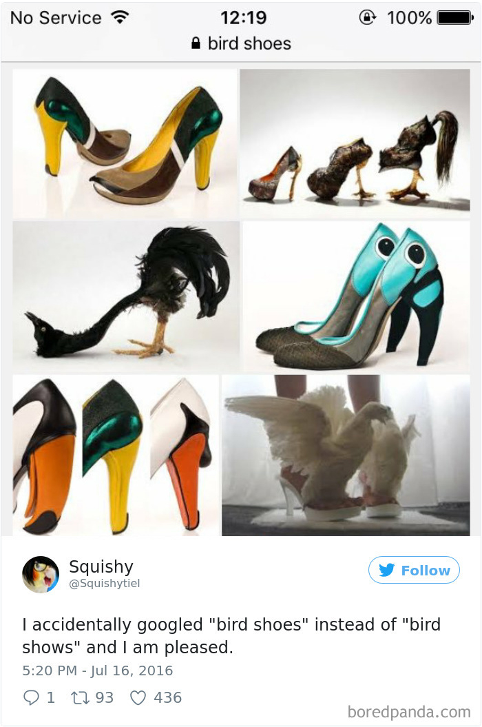 120 Times People Accidentally Googled The Wrong Thing, And The Results Were Hilarious 120 Times People Accidentally Googled The Wrong Thing, And The Results Were Hilarious