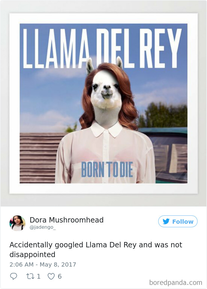 120 Times People Accidentally Googled The Wrong Thing, And The Results Were Hilarious 120 Times People Accidentally Googled The Wrong Thing, And The Results Were Hilarious