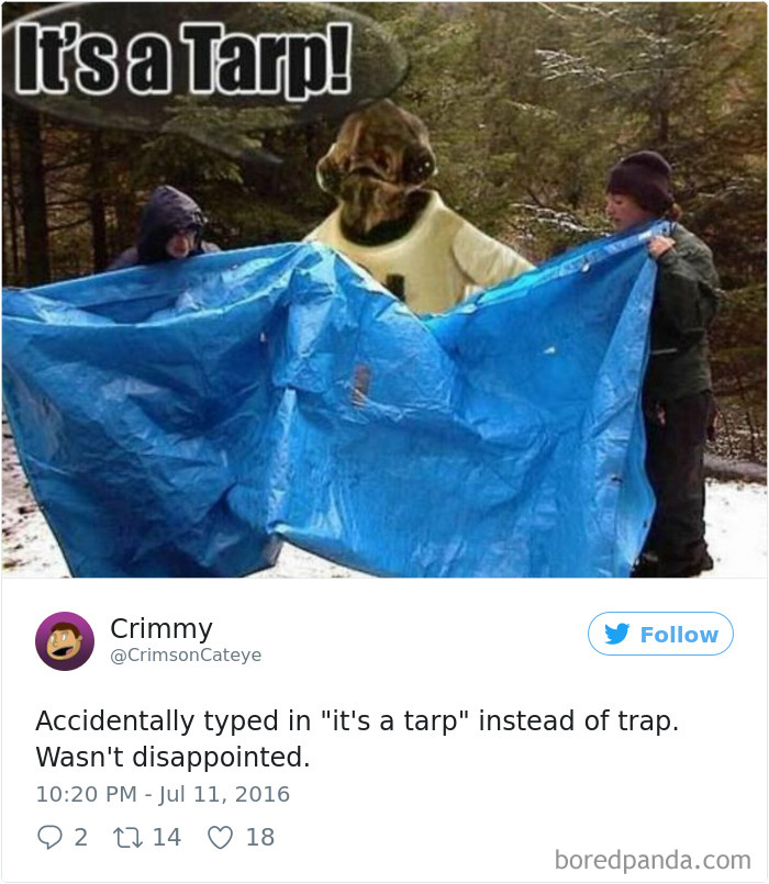 120 Times People Accidentally Googled The Wrong Thing, And The Results Were Hilarious 120 Times People Accidentally Googled The Wrong Thing, And The Results Were Hilarious