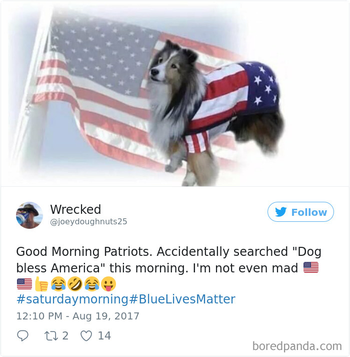 120 Times People Accidentally Googled The Wrong Thing, And The Results Were Hilarious 120 Times People Accidentally Googled The Wrong Thing, And The Results Were Hilarious