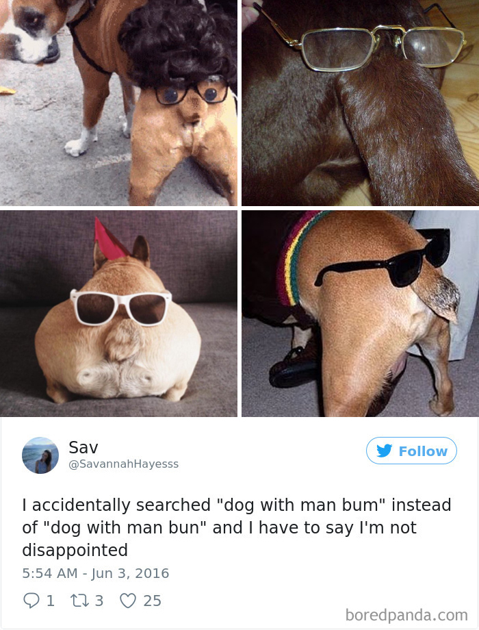 120 Times People Accidentally Googled The Wrong Thing, And The Results Were Hilarious 120 Times People Accidentally Googled The Wrong Thing, And The Results Were Hilarious