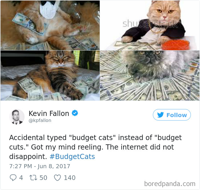 120 Times People Accidentally Googled The Wrong Thing, And The Results Were Hilarious 120 Times People Accidentally Googled The Wrong Thing, And The Results Were Hilarious