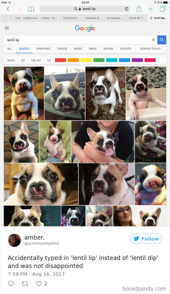 120 Times People Accidentally Googled The Wrong Thing, And The Results Were Hilarious 120 Times People Accidentally Googled The Wrong Thing, And The Results Were Hilarious