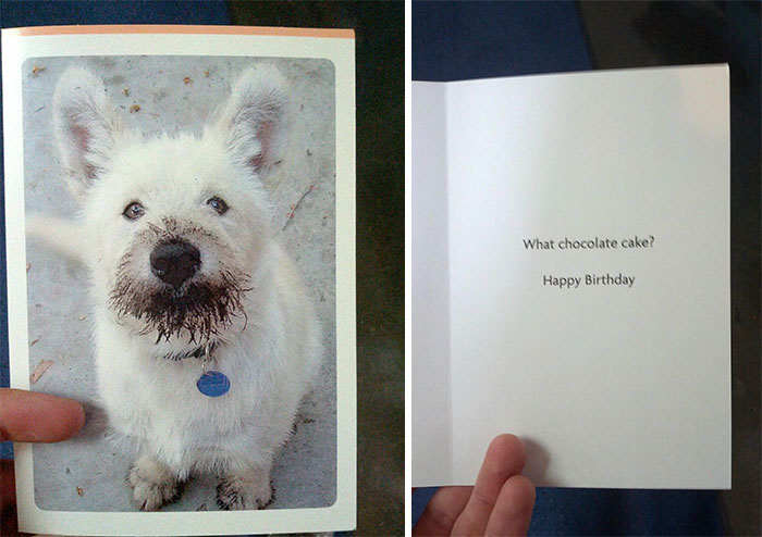 86 Hilarious Greeting Cards That Will Surprise You When You Open Them