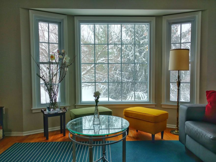 The Four Seasons Through My Living Room