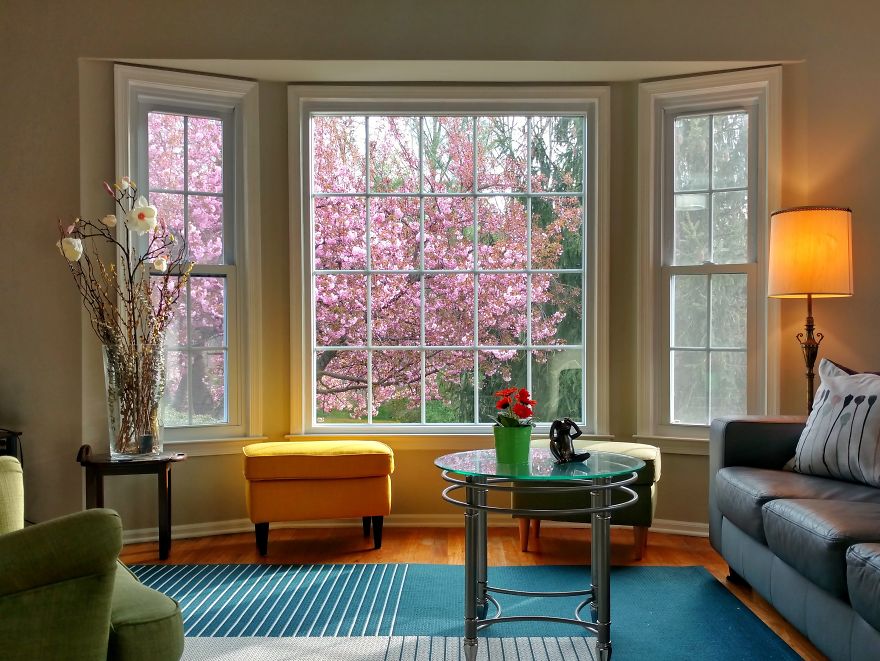 The Four Seasons Through My Living Room