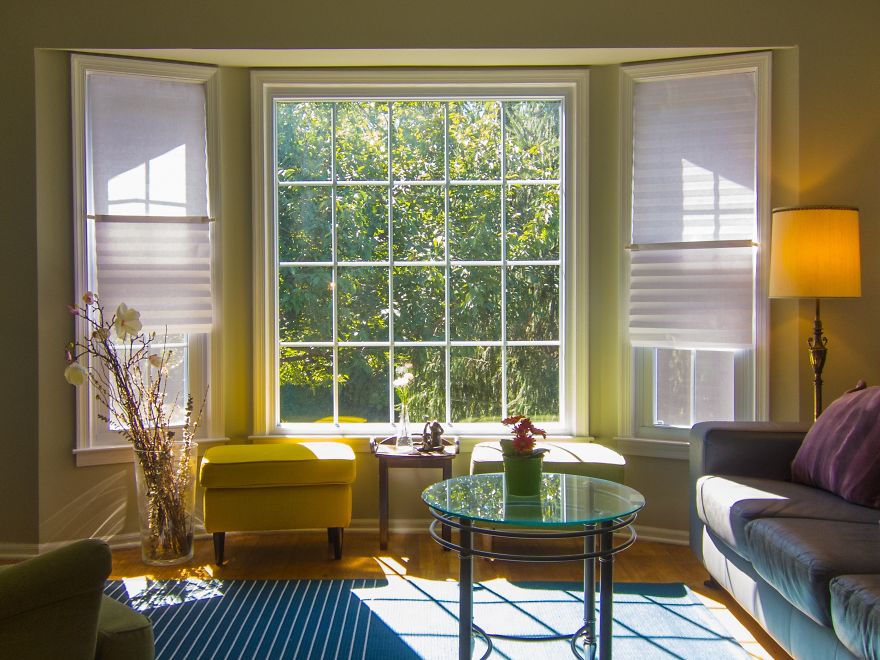 The Four Seasons Through My Living Room