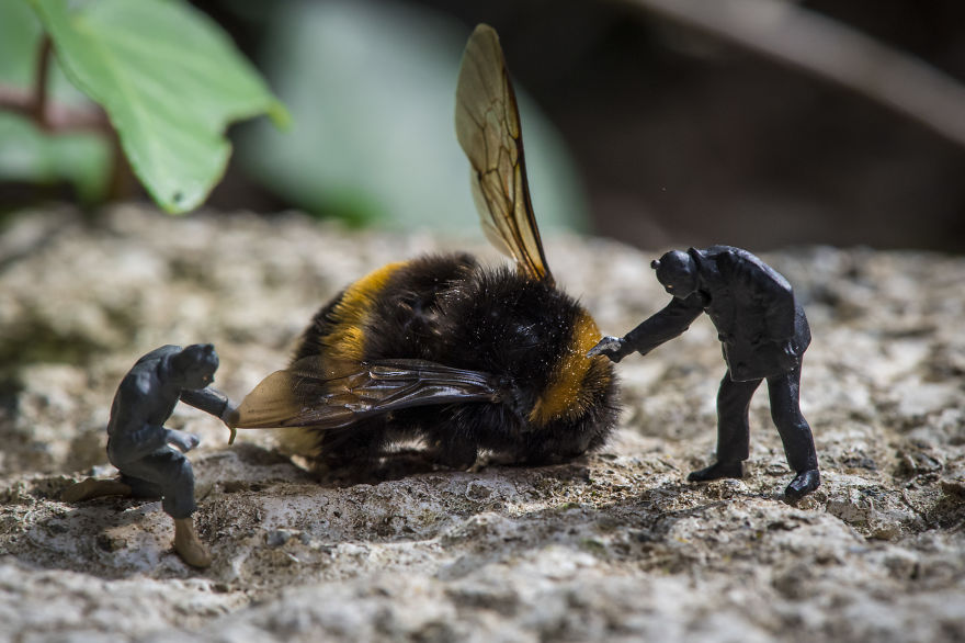 I Use Everyday Objects To Create Tiny Worlds I Use Everyday Objects To Create Tiny Worlds