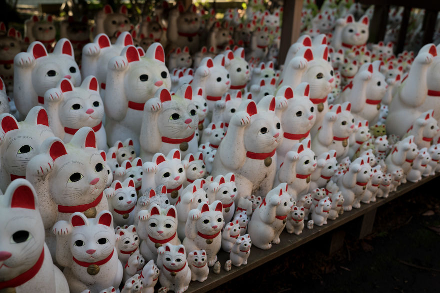 My Report From The Lucky Cats’ Homeland