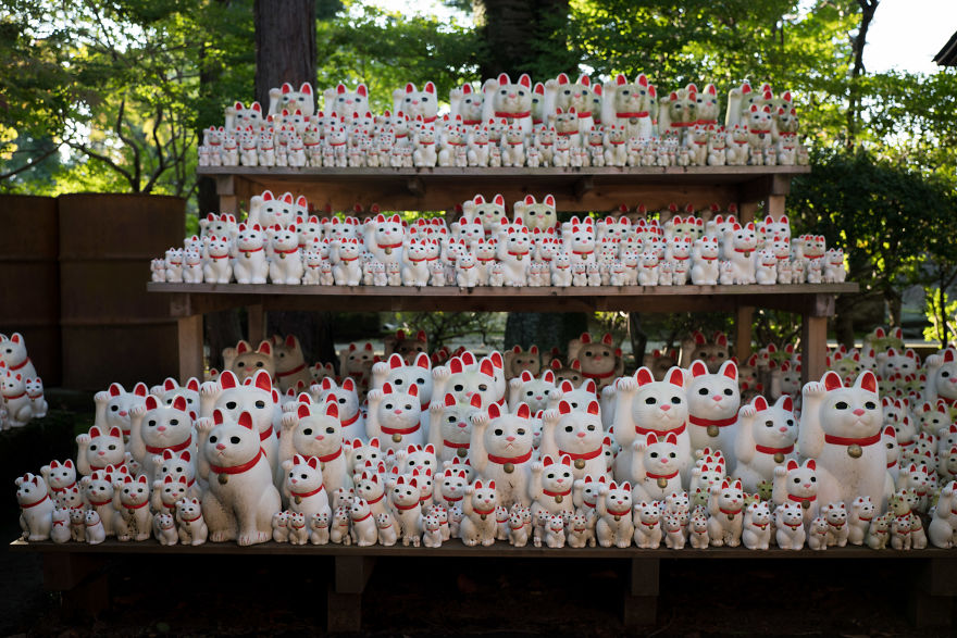 My Report From The Lucky Cats’ Homeland