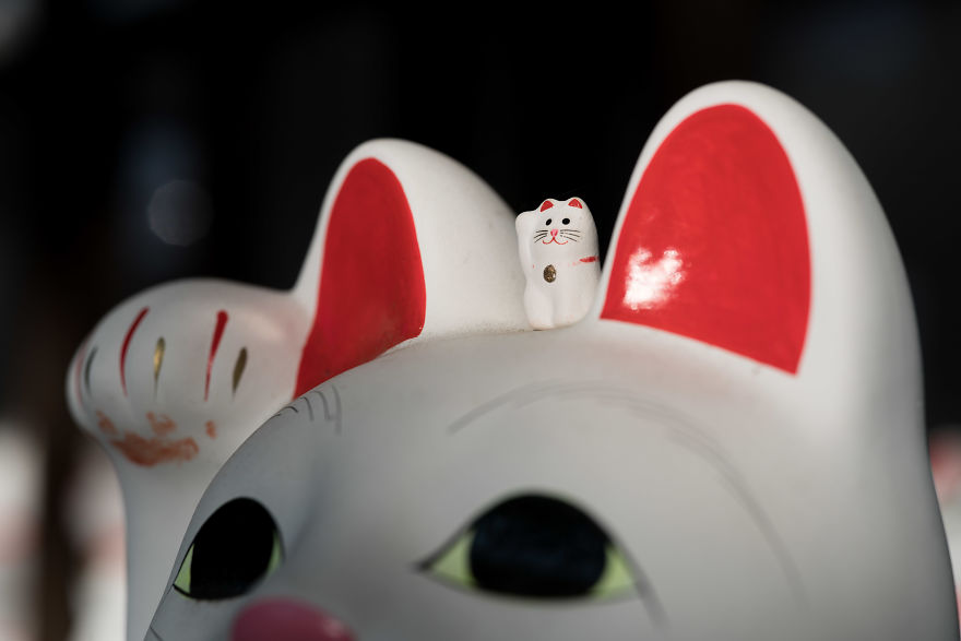 My Report From The Lucky Cats’ Homeland