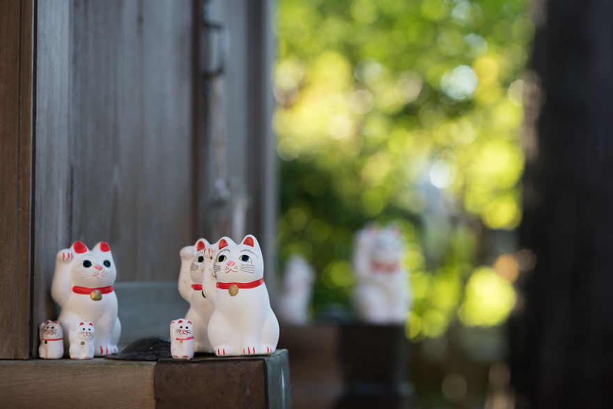 My Report From The Lucky Cats’ Homeland