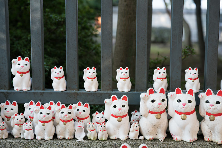 My Report From The Lucky Cats’ Homeland