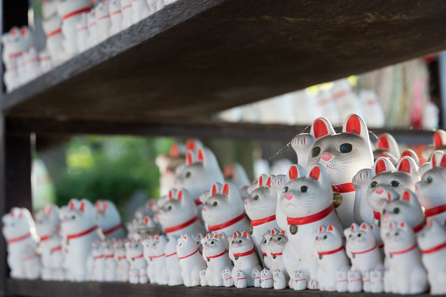 My Report From The Lucky Cats’ Homeland