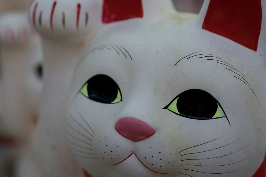 My Report From The Lucky Cats’ Homeland