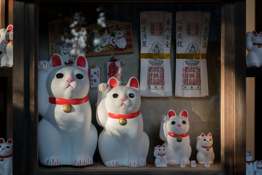 My Report From The Lucky Cats’ Homeland
