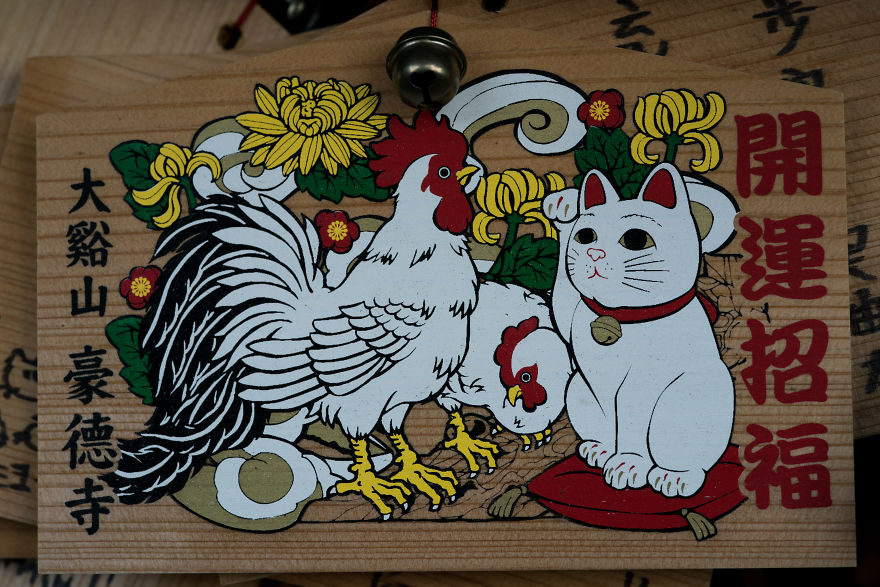 My Report From The Lucky Cats’ Homeland