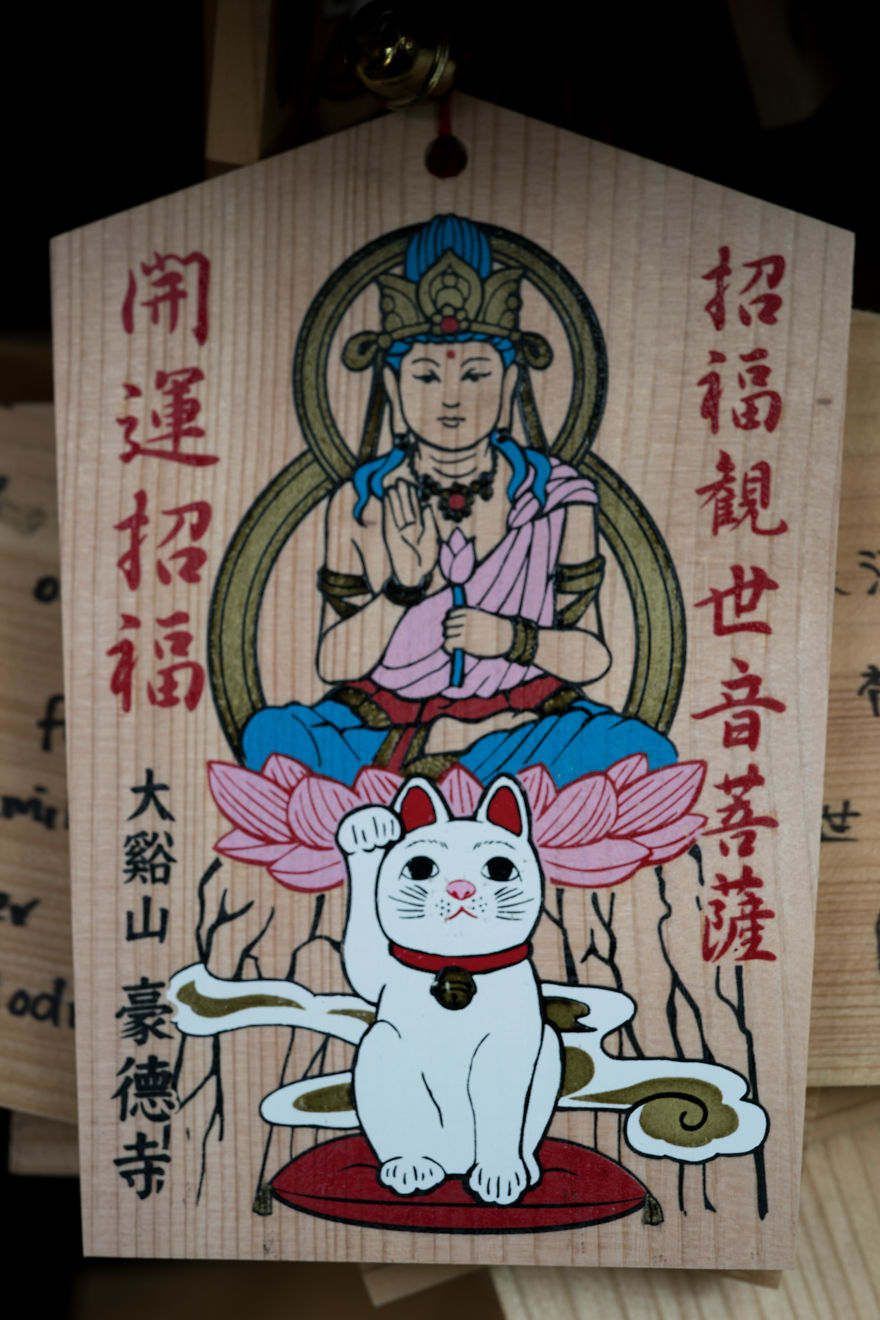 My Report From The Lucky Cats’ Homeland