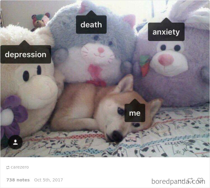 119 Pics About Anxiety That Will Make You Laugh, Then Cry