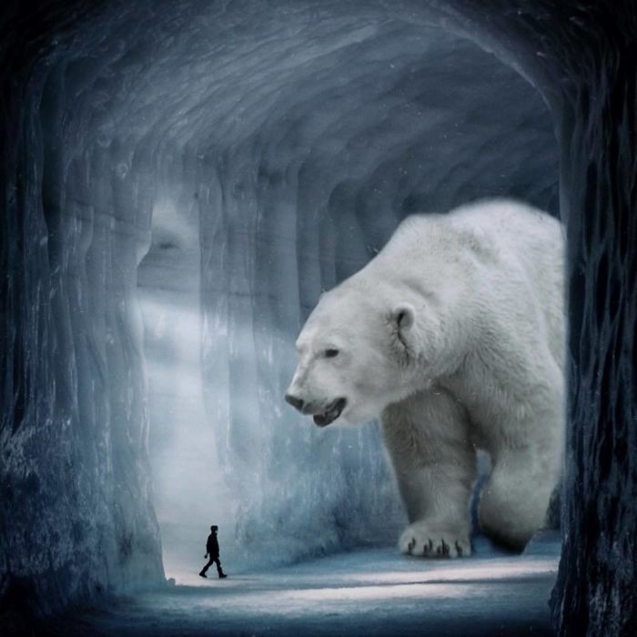 I Imagine A World With Giant Animals In My Digital Manipulations I Imagine A World With Giant Animals In My Digital Manipulations