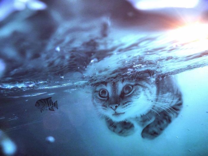 I Imagine A World With Giant Animals In My Digital Manipulations I Imagine A World With Giant Animals In My Digital Manipulations