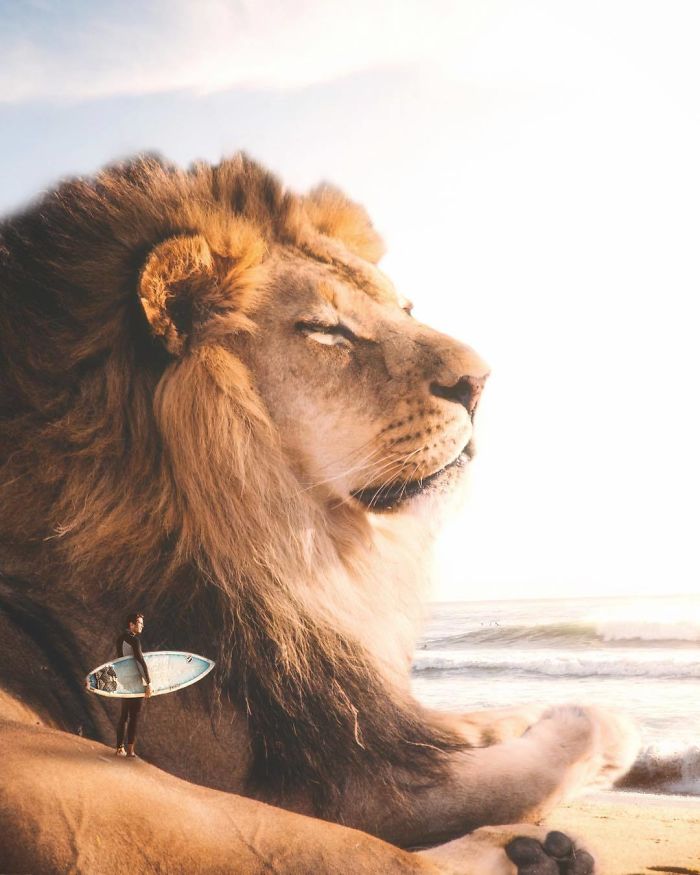 I Imagine A World With Giant Animals In My Digital Manipulations I Imagine A World With Giant Animals In My Digital Manipulations