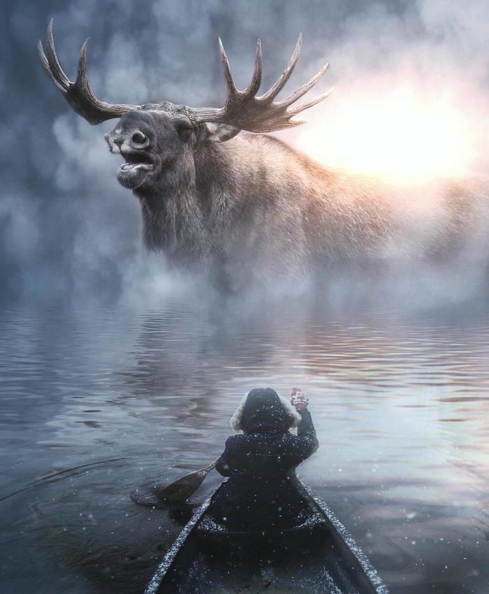 I Imagine A World With Giant Animals In My Digital Manipulations I Imagine A World With Giant Animals In My Digital Manipulations