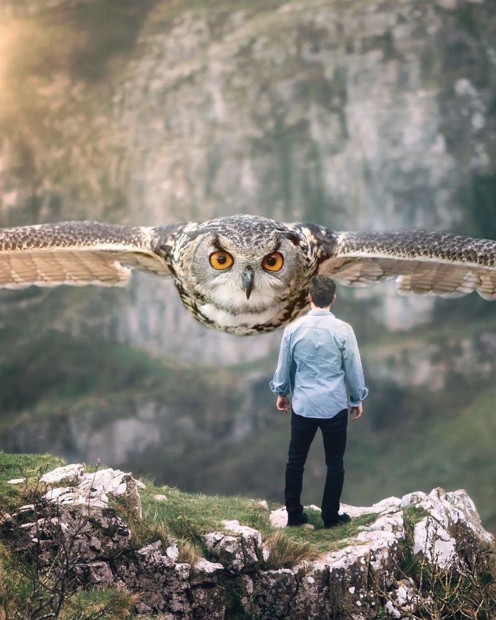 I Imagine A World With Giant Animals In My Digital Manipulations I Imagine A World With Giant Animals In My Digital Manipulations