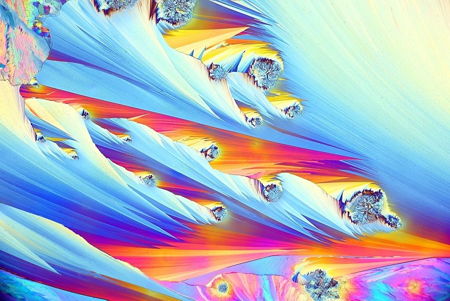 2017 Nikon Macro Photo Contest Winners Show The World Like You’ve Never Seen Before