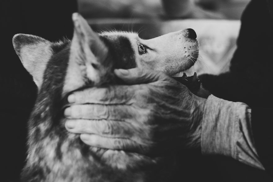 We Followed Local Canistherapy Center Team To Senior Foster Homes And Children Hospitals For Two Years To Document People Emotions