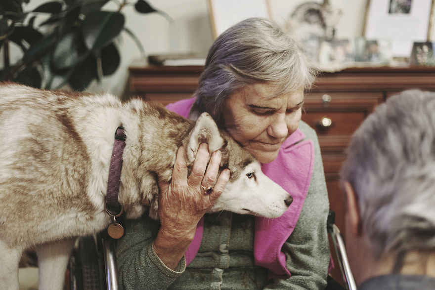 We Followed Local Canistherapy Center Team To Senior Foster Homes And Children Hospitals For Two Years To Document People Emotions