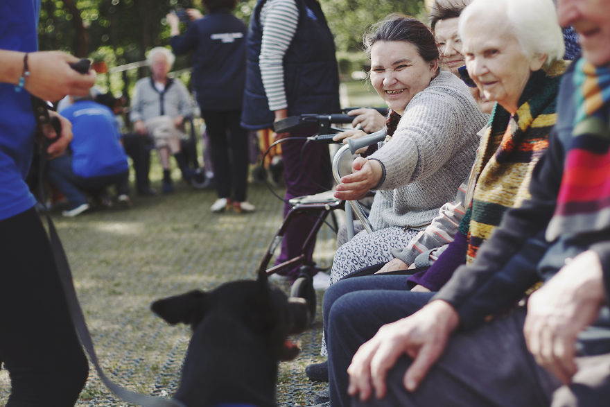 We Followed Local Canistherapy Center Team To Senior Foster Homes And Children Hospitals For Two Years To Document People Emotions