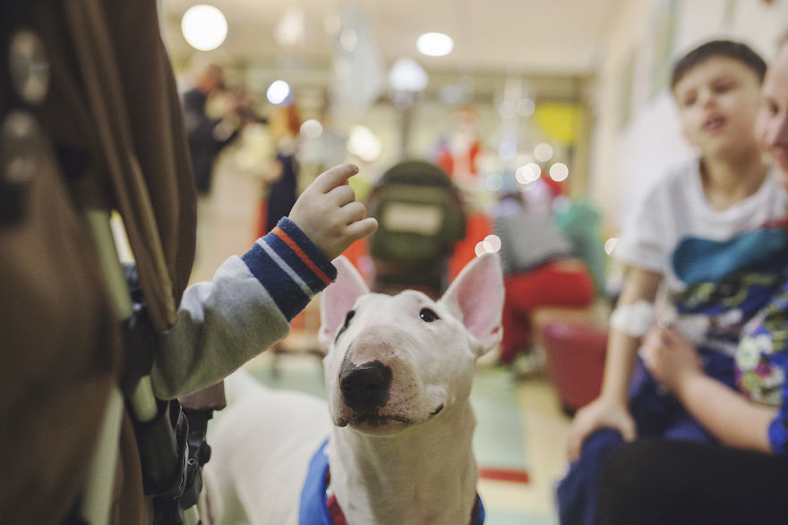 We Followed Local Canistherapy Center Team To Senior Foster Homes And Children Hospitals For Two Years To Document People Emotions