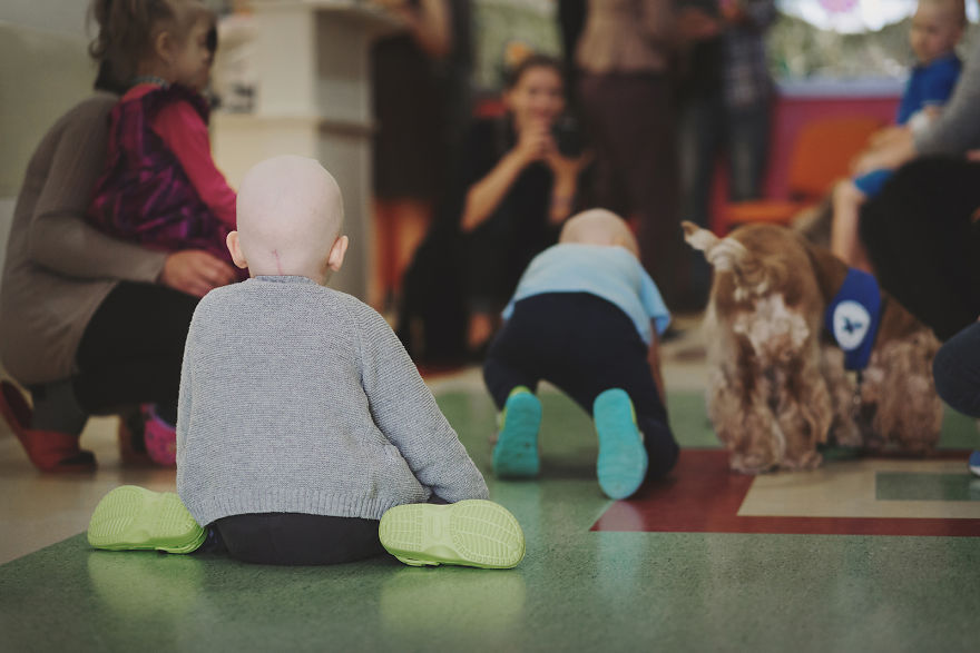 We Followed Local Canistherapy Center Team To Senior Foster Homes And Children Hospitals For Two Years To Document People Emotions