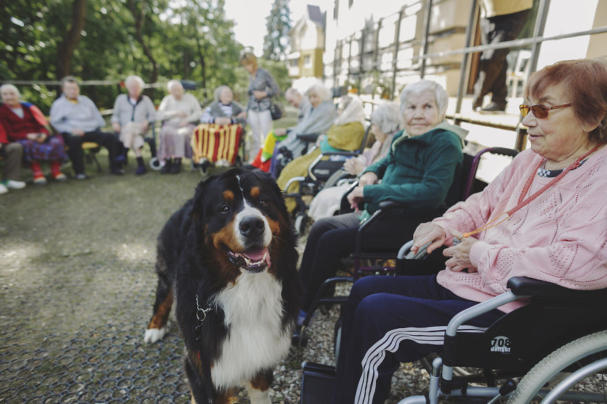 We Followed Local Canistherapy Center Team To Senior Foster Homes And Children Hospitals For Two Years To Document People Emotions