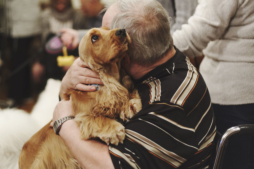 We Followed Local Canistherapy Center Team To Senior Foster Homes And Children Hospitals For Two Years To Document People Emotions
